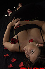 40,9 KB (41.886 Bytes)