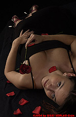 45,2 KB (46.351 Bytes)