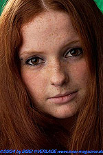 40,1 KB (41.127 Bytes)