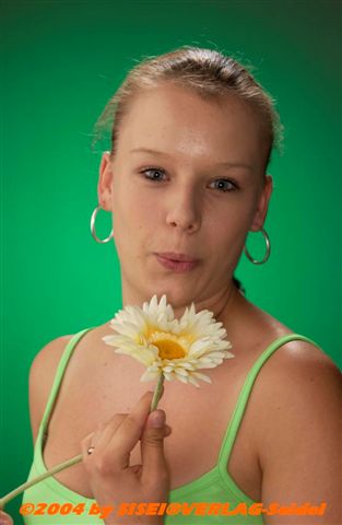 38,0 KB (38.954 Bytes)