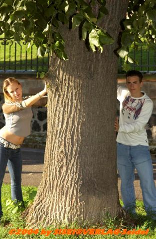 38,6 KB (39.591 Bytes)