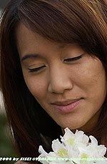 38,7 KB (39.724 Bytes)