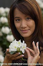 33,6 KB (34.464 Bytes)