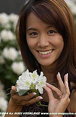 38,6 KB (39.591 Bytes)