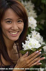 38,6 KB (39.591 Bytes)