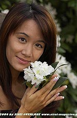 39,2 KB (40.236 Bytes)