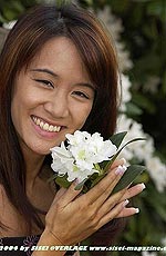 39,1 KB (40.123 Bytes)