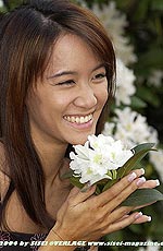 38,6 KB (39.591 Bytes)