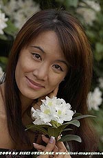 38,6 KB (39.591 Bytes)