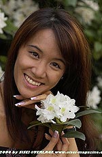 39,2 KB (40.236 Bytes)