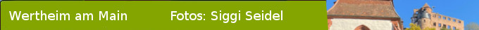 Ansichten Wertheim Header